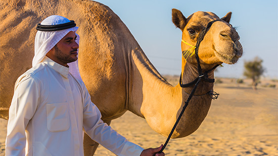 Dubai, Abu Dhabi & Katar Eine Kreuzfahrt zwischen Tradition und Moderne