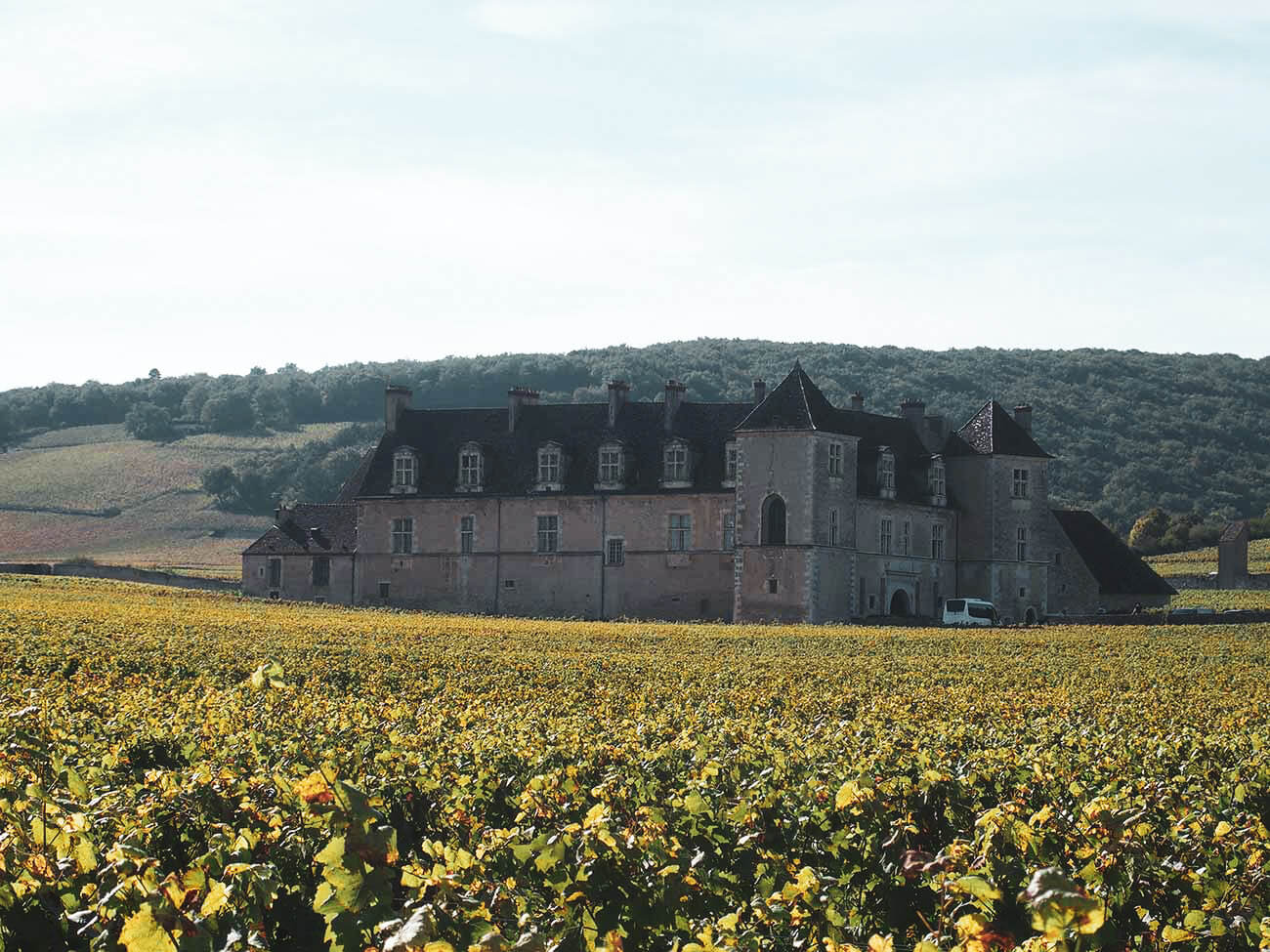 Cantina in Francia