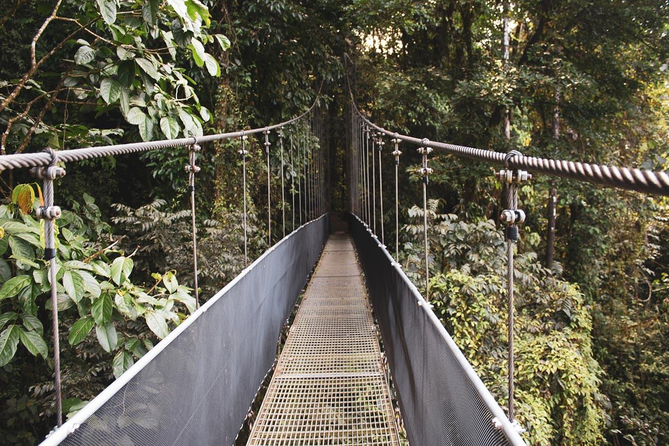 Hängebrücke in Monteverde