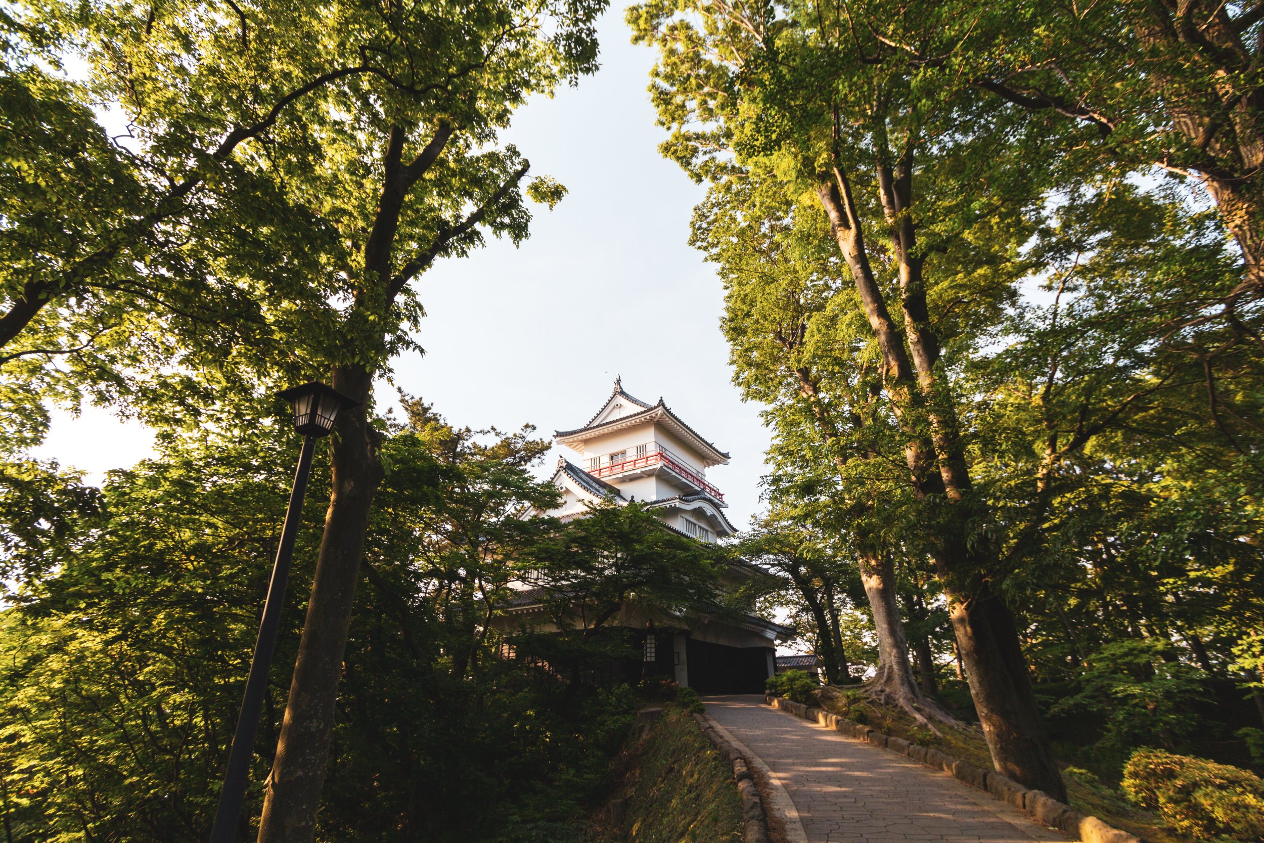 Ein japanisches Haus im dichten Wald