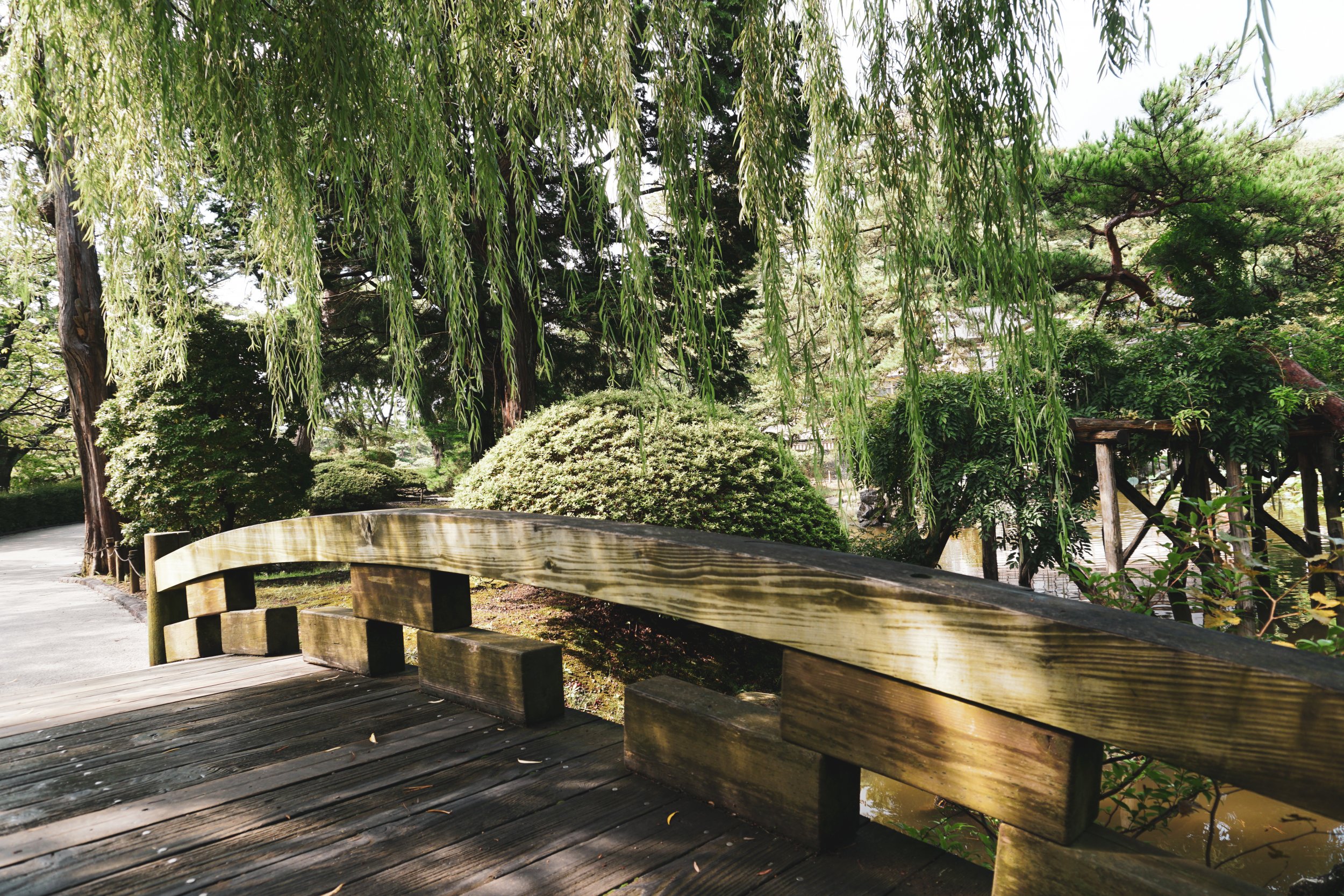 Brücke aus Holz vor alten Bäumen