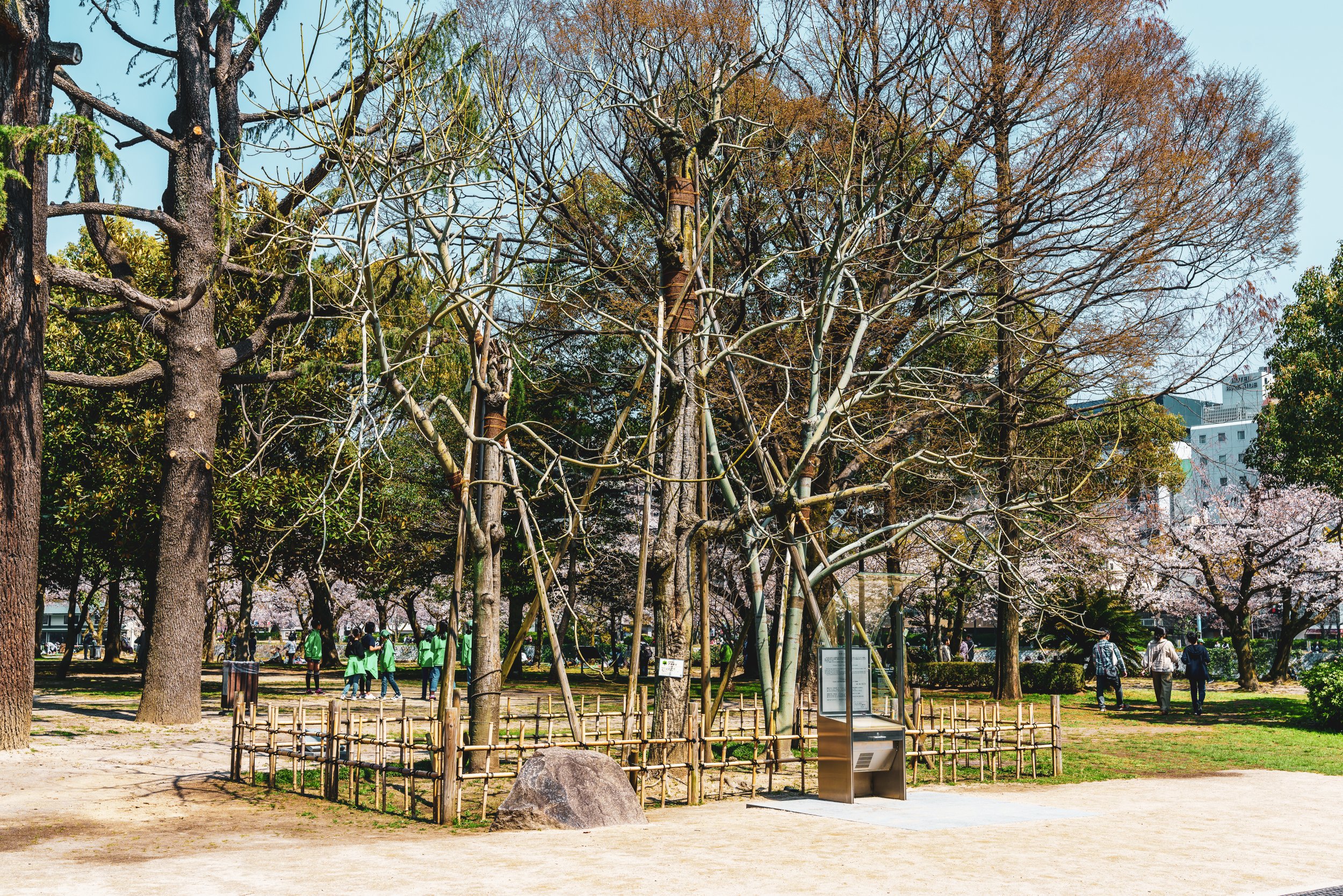 Albero con memoriale di Hiroshima