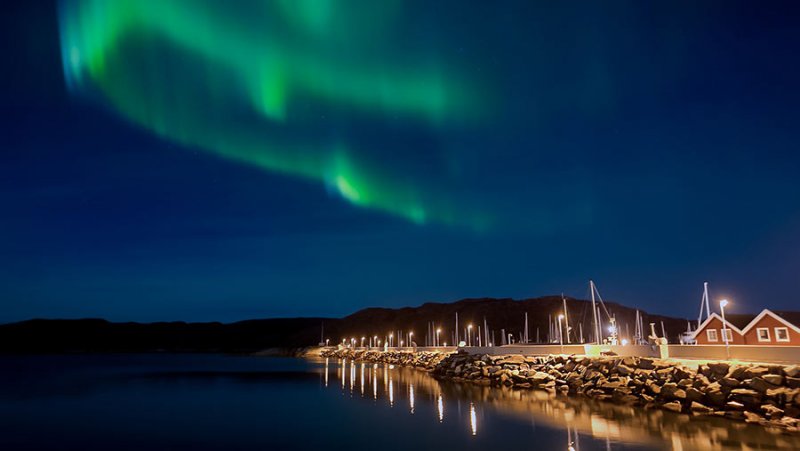 Grüne Nordlichter über norwegischer Bucht mit Häusern